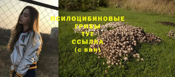 круглые Алексеевка